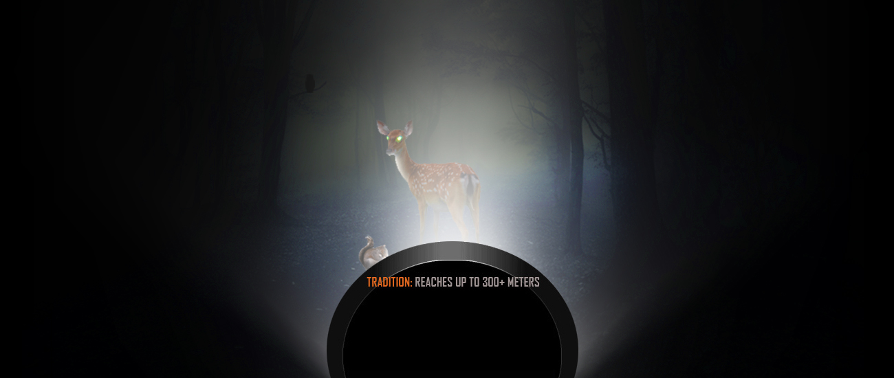 Streamlight