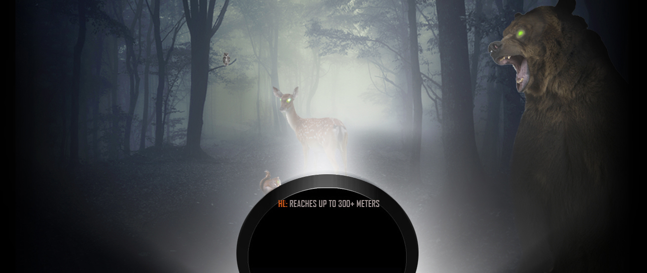 Streamlight